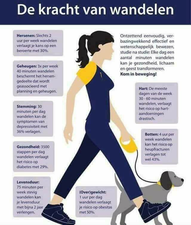 AstridTimmerma1's tweet photo. @leanne_aurik #doggywalk https://t.co/eeX0erIgTQ
