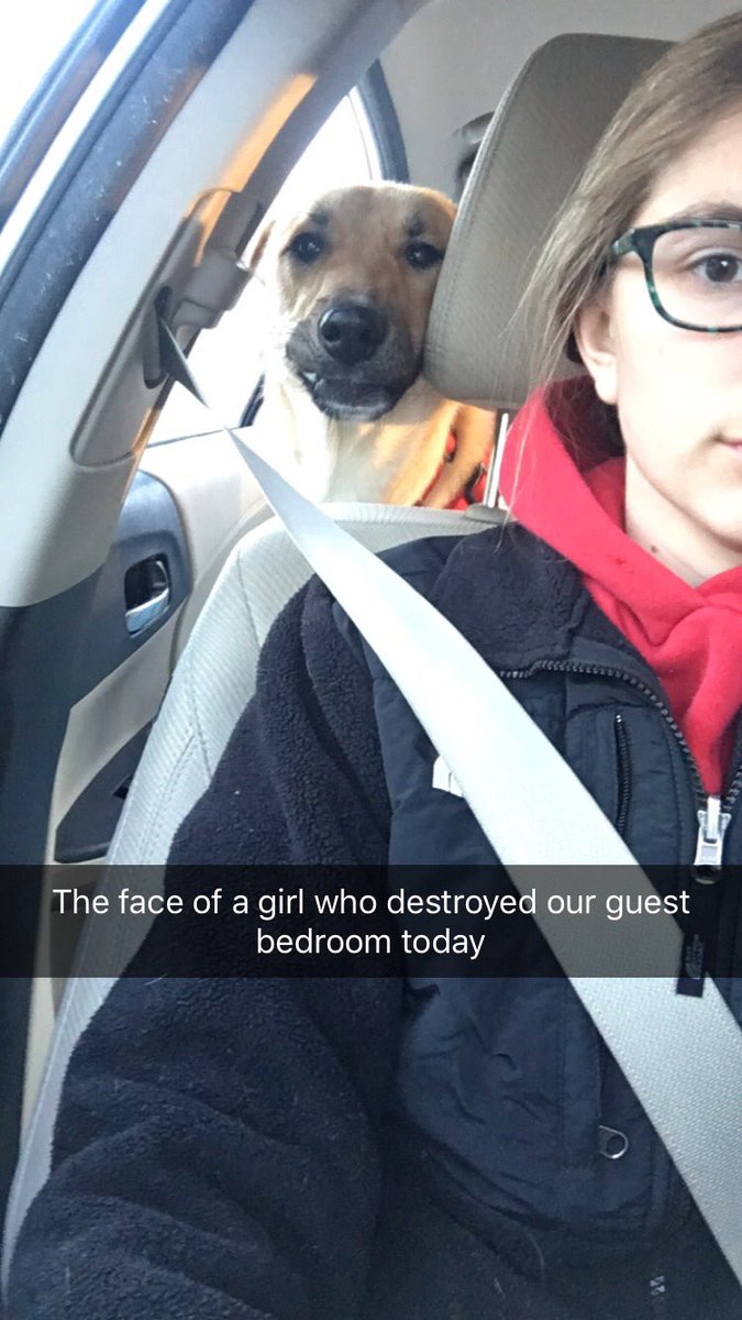 TeachAndWife's tweet photo. Not my idea of a fun Friday. https://t.co/aWnqp4J9TK