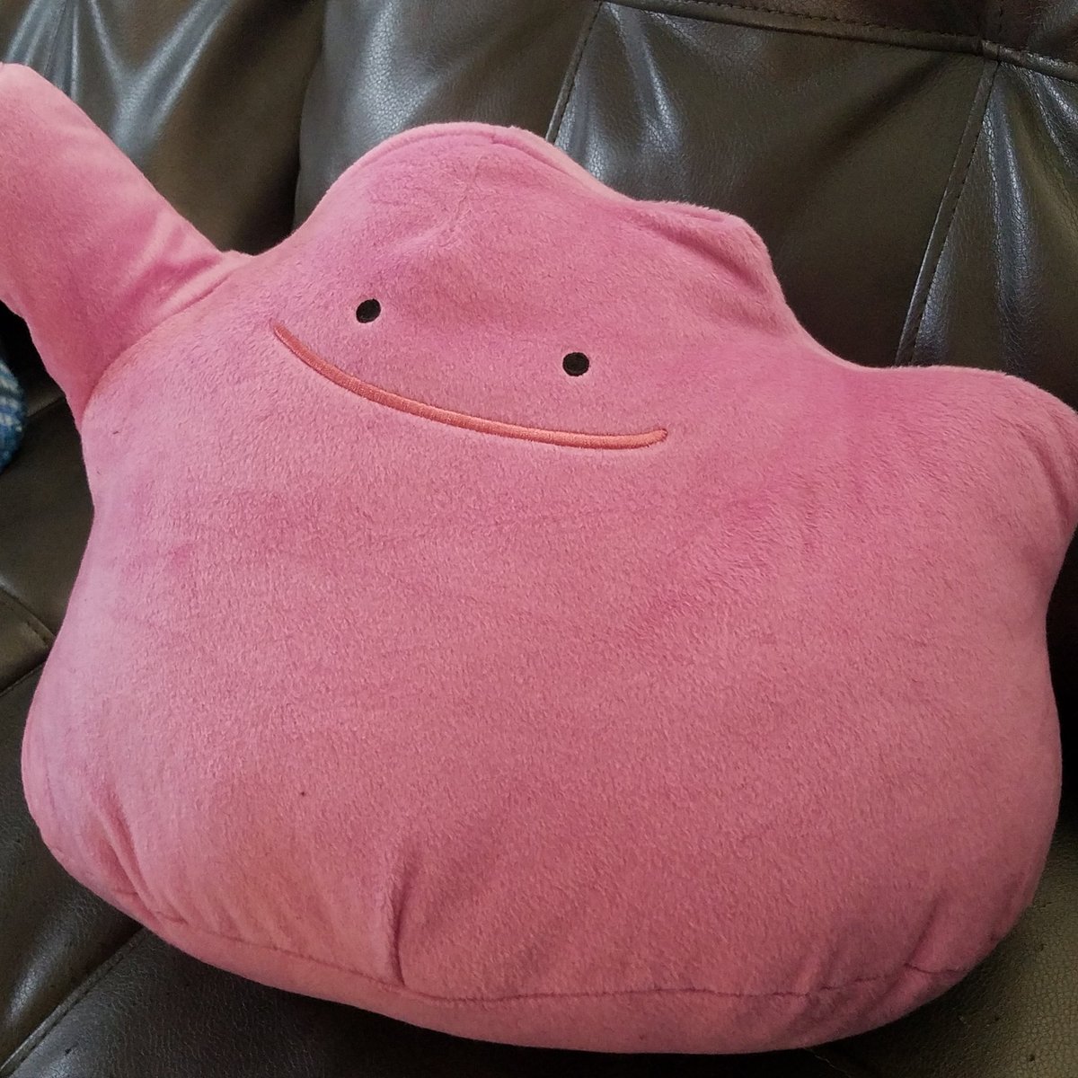 SarahFlashstone's tweet image. My throw pillow became a ditto.