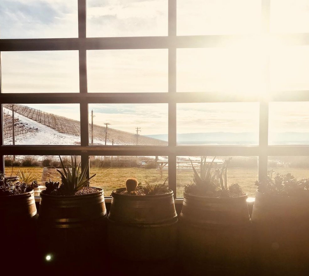 Not even short days and cold temperatures can keep the sunshine in the Yakima Valley down. Insider tip: visit now to beat the summer crowds and enjoy a relaxed winter wine getaway. 📷: bcourtneym #WAWine