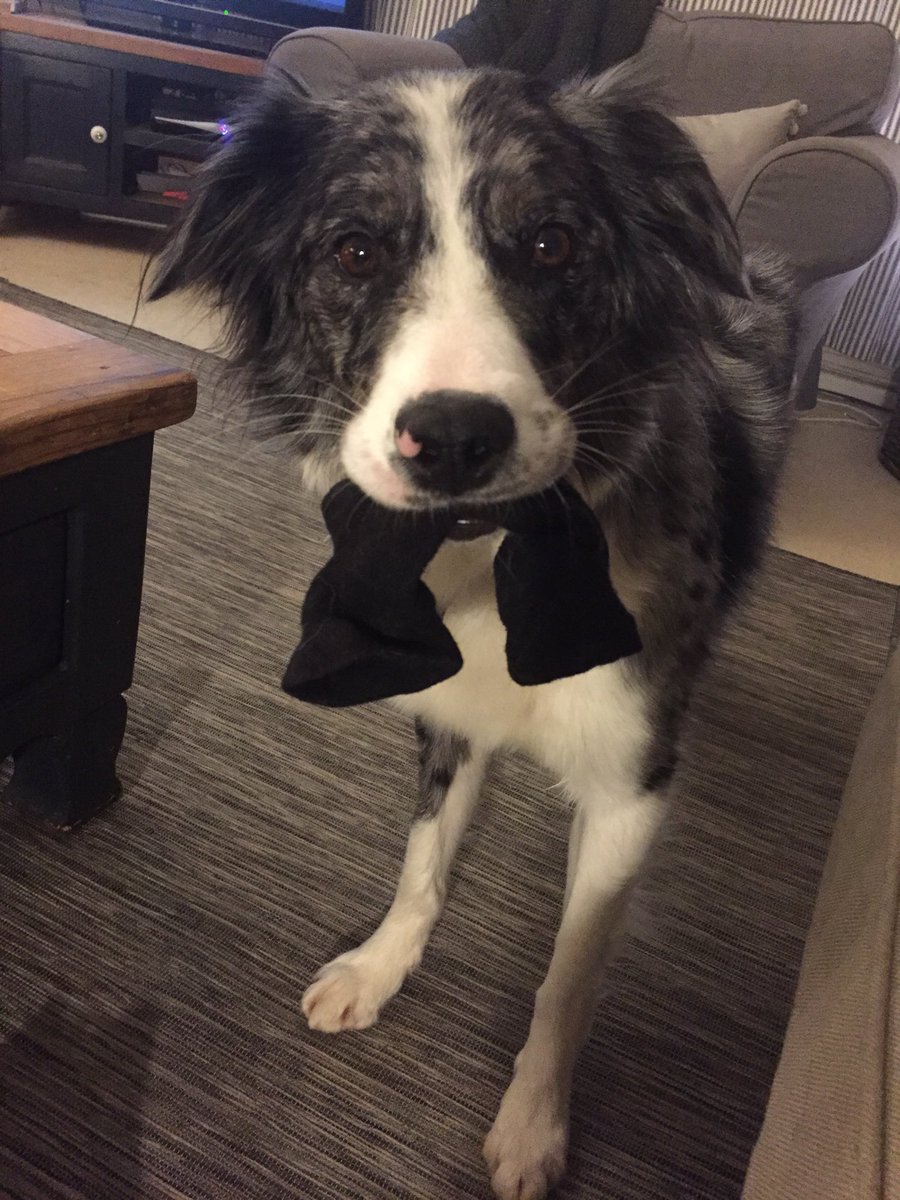 Millythemooch tweet media