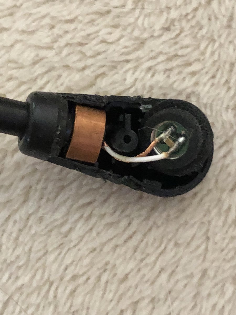 VJShordee444's tweet image. #CrazyA$$Calico is just chewing everything.