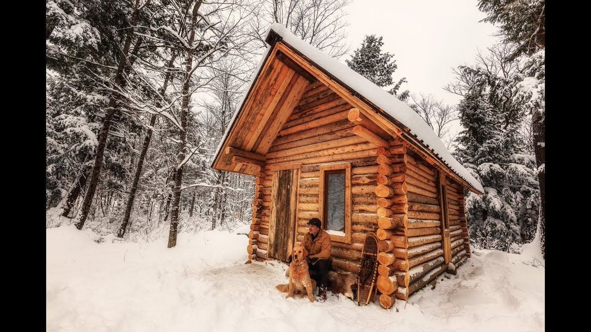 Al_Humphreys's tweet photo. Log Cabin TIMELAPSE Built By ONE MAN In The Forest. In my dreams, I would (could) do this... https://t.co/FTMahAmmZI https://t.co/96teaTCDZW