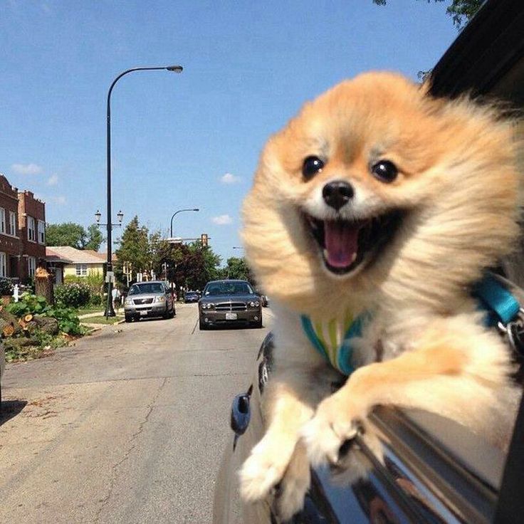 When you're on the way to our place for dinner!
