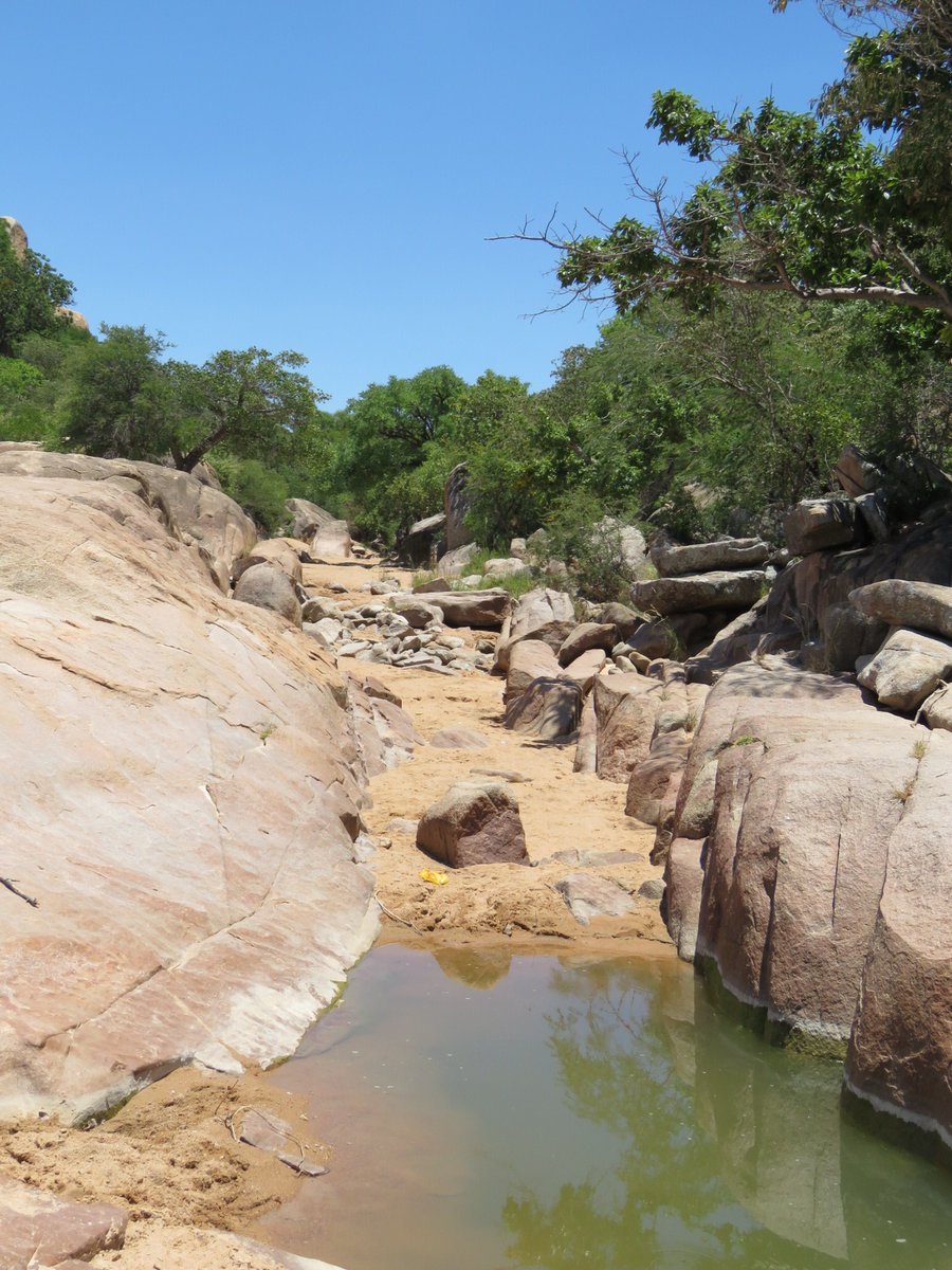 AnjaBSch's tweet photo. Beautiful #Botswana #Ntshe river at #Moroka #nature #NEdistrict #NaturePhotography https://t.co/TGJ9iAgorh