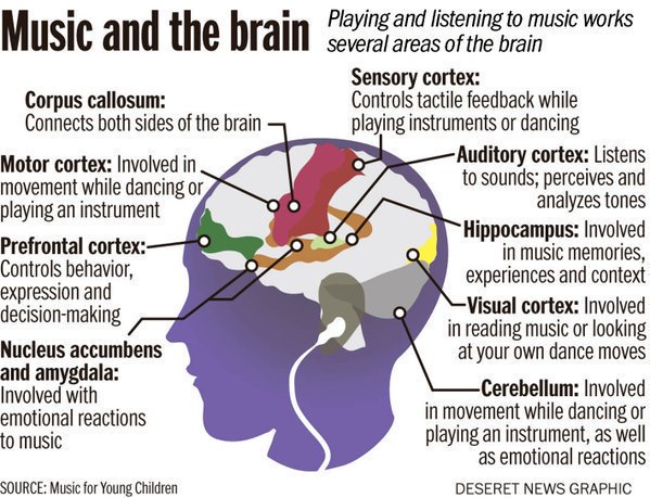 LEAD_Coalition's tweet image. Please reTweet to raise awareness about the power of #music on the #brain.

#neuroscience #Alzheimers #dementia