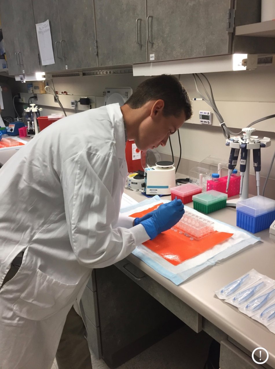 stillwater-area-hs-on-twitter-sahs-junior-max-stauffer-has-been-recognized-nationally-for-his-research-on-tick-borne-pathogens-stauffer-presented-the-findings-during-a-poster-session-at-the-annual-meeting-for