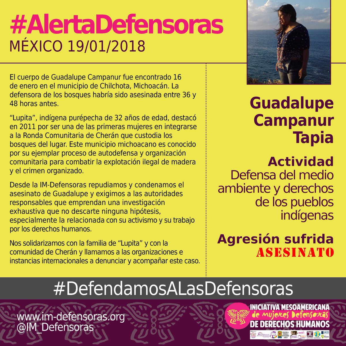 IM_Defensoras's tweet photo. #AlertaDefensoras MÉXICO / Asesinan a Guadalupe Campanur, defensora del medio ambiente y los pueblos indígenas en Cherán: https://t.co/5ovDH2Wtq7 @RedDefensorasMx https://t.co/t11G7nZLbP