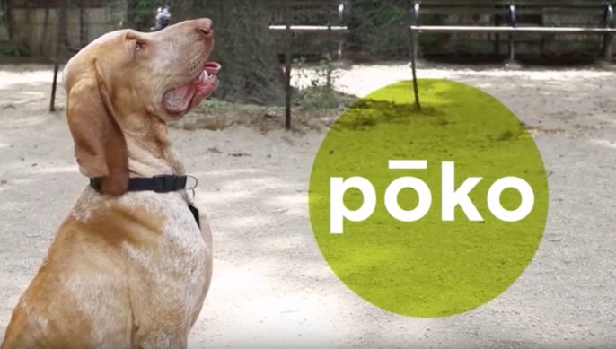 Syntes's tweet image. buff.ly/2DNlUjr #LanguageDetectives #Language #Heritage #LanguageOrigins #NativeAmericanLanguages New #Research looked at a set of 100 words to understand the sound sequences of the #UtoAztecan language.