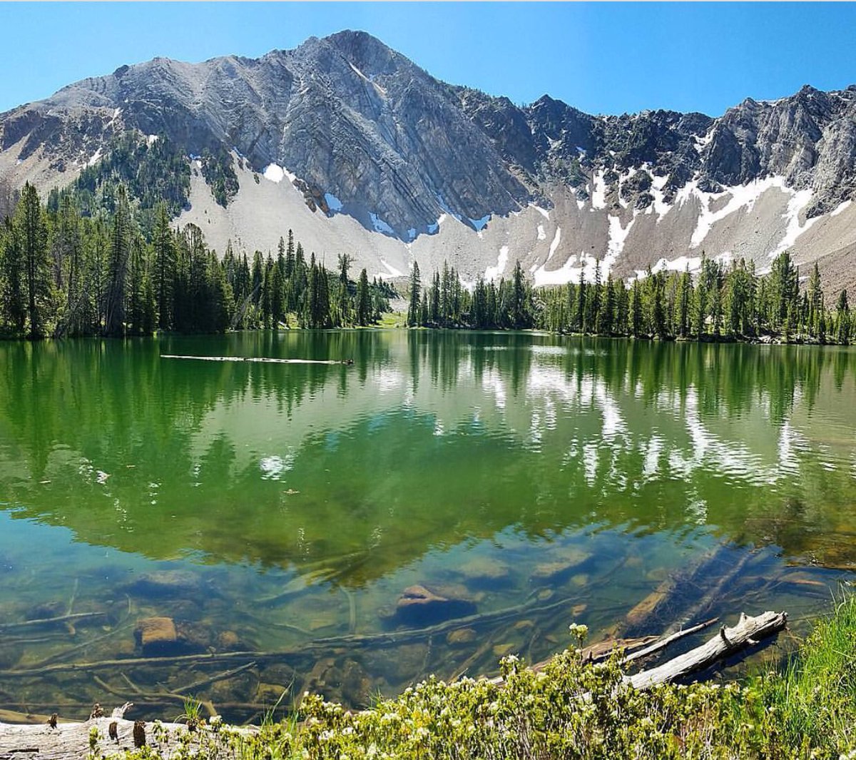 Idaho Properties (ID_Properties) Twitter