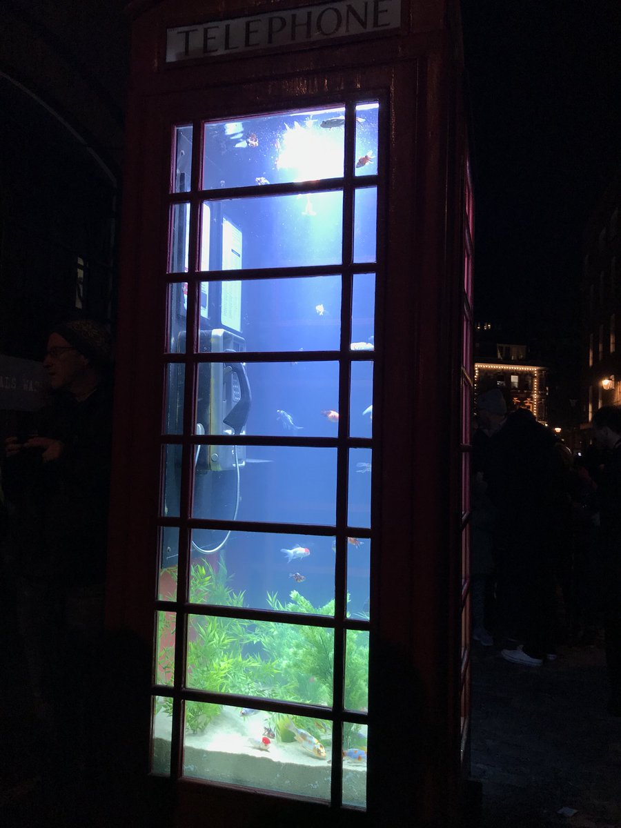 RachelRedeemed's tweet photo. Great night out with some @londonsmallyt represent at #lumiere2018 https://t.co/EbHzpjnBMX