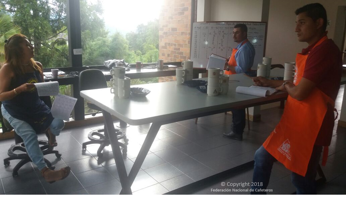 FedeCafeteros's tweet photo. Entre 300 participantes se eligieron las 30 mejores muestras de las cuales saldrá el mejor café de Caldas, en el 5o Festival Orquídeas, Café y Arte #Cafexport @cenicafe https://t.co/akcYeegzBO