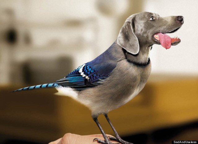 RegalianPigeon's tweet photo. @AlexdOrtonnaise @Maximus306AC @ortonnaise Easy: https://t.co/WEOd2AYHNU