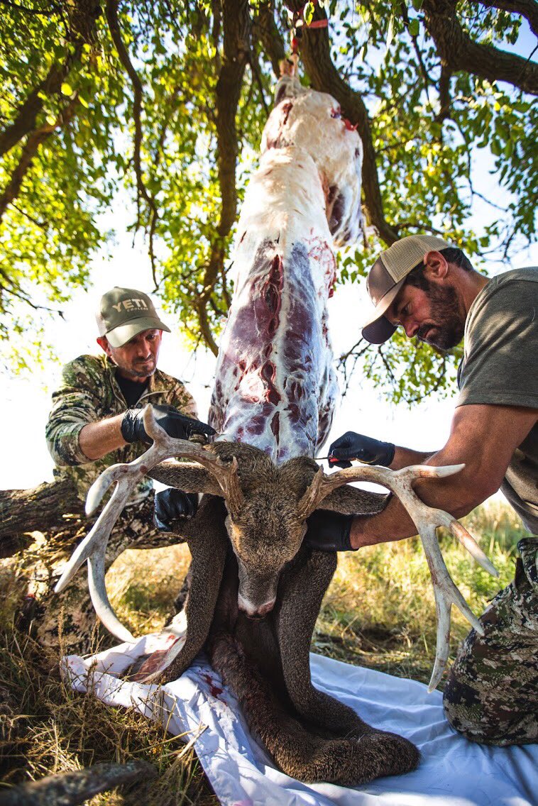 Outback Outdoors tweet media