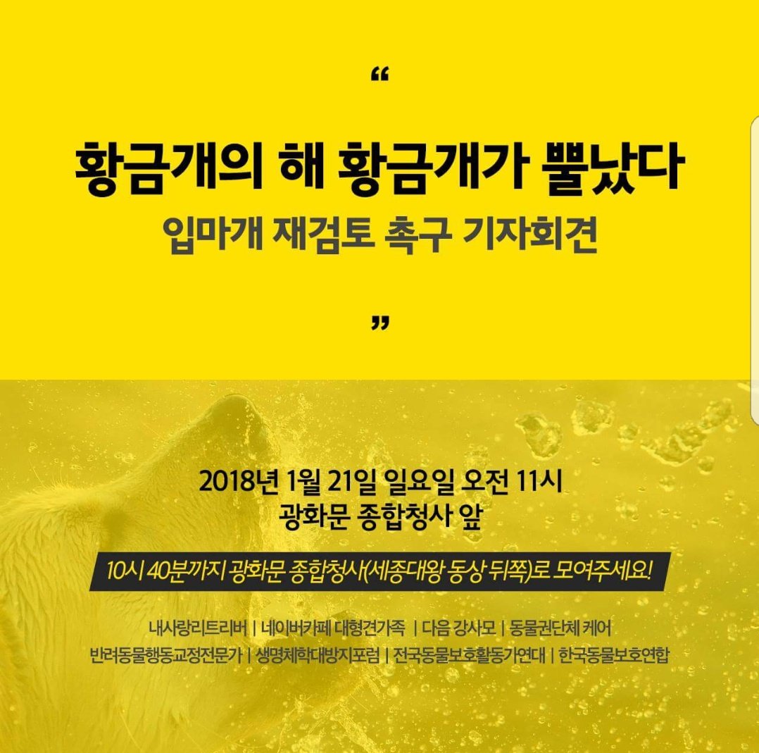 Boram_SILVER's tweet photo. 1월 21일 일요일 오전 11시
서울 광화문 종합청사 앞에서
"황금개의 해 황금개가 뿔났다" 입마개 재검토 촉구 기자회견 이 열립니다.
보람이도 해당 기자회견에 참여합니다.

과정을 지켜봐 주시고 힘이 되어 주실 분들께서 참여를 함께 해주시면 감사하겠습니다!!

https://t.co/8UFix7y31z https://t.co/9Hyf68J1aE
