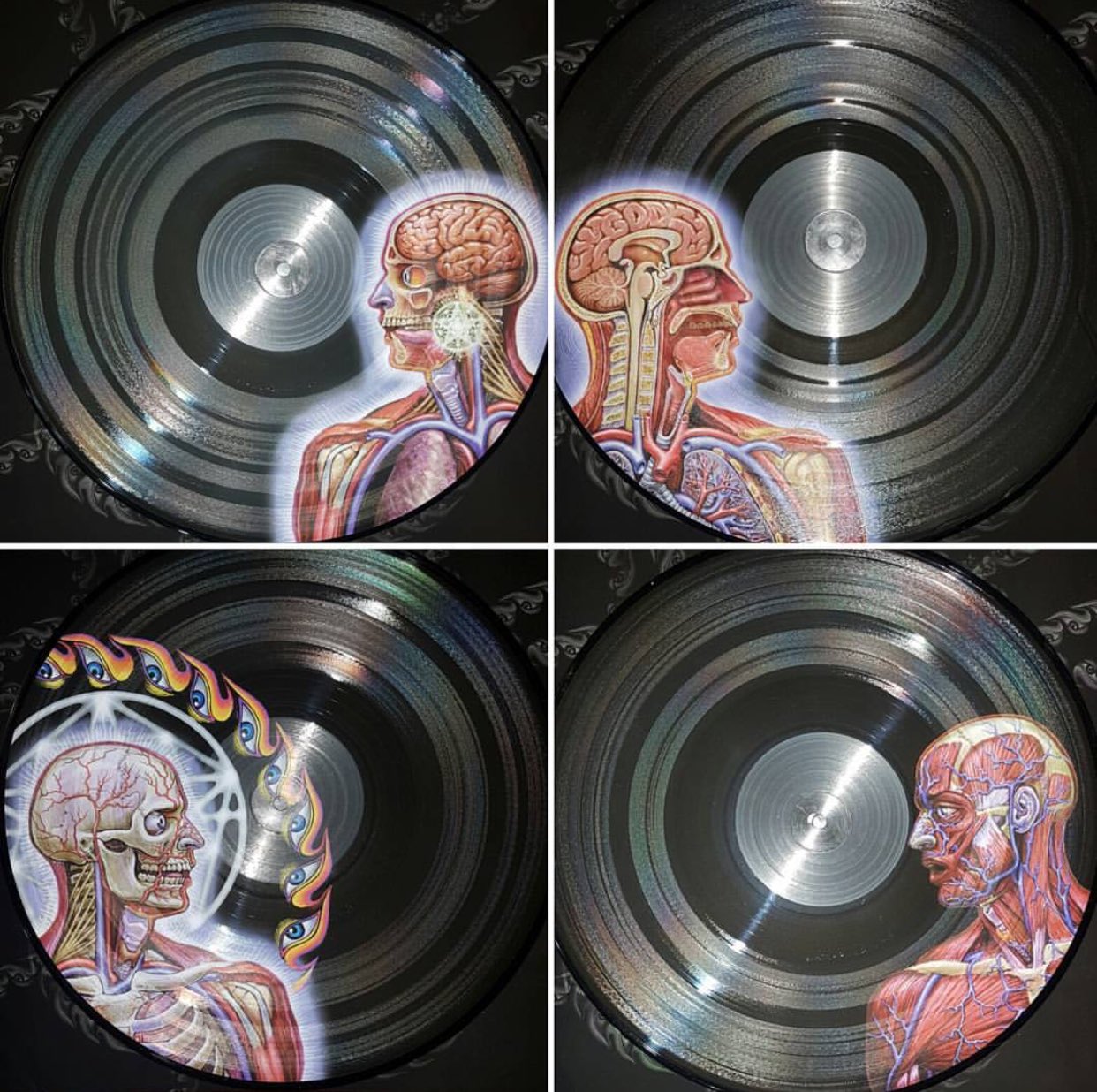 Erika Records on X: Tool / Lateralus. Limited edition picture