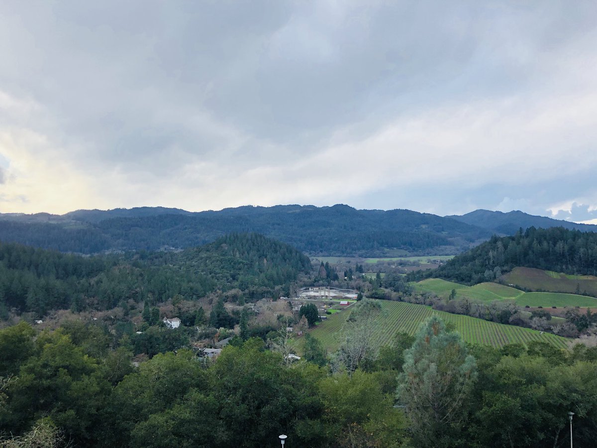 VenusDugayon's tweet photo. Glad to be able to spend time with my husband at the wine country! https://t.co/6qyFs1TOOQ