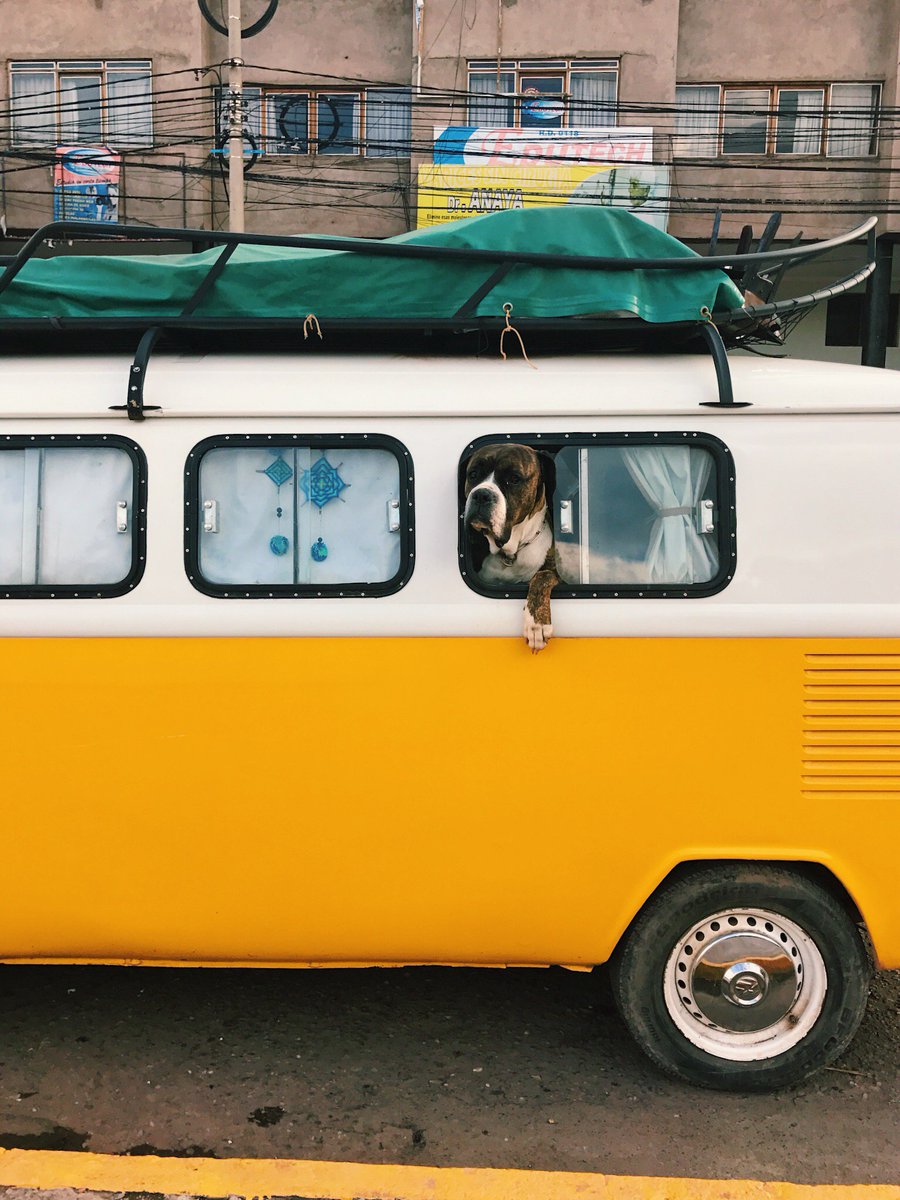 vsco's tweet photo. Explore the sights of Peru's capital city, Lima, on the Citysong Collection. https://t.co/pBTqRDTB5s #VSCO 

Images by renhoeck, sierralynnwalker, and nicollechavez https://t.co/ZQESnDIszV
