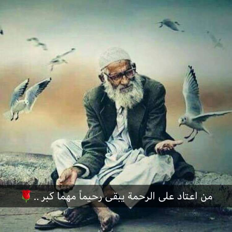 w_211111's tweet photo. 🌹 https://t.co/04BEVRrzkc