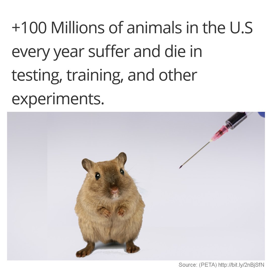 +100 Millions of Animals in the U.S every year Suffer and Die in Testing, Training, and Other Experiments.
#Facts #Amazing #AmazingFacts #DidYouKnow #StopAnimalTests  #AnimalCruelty