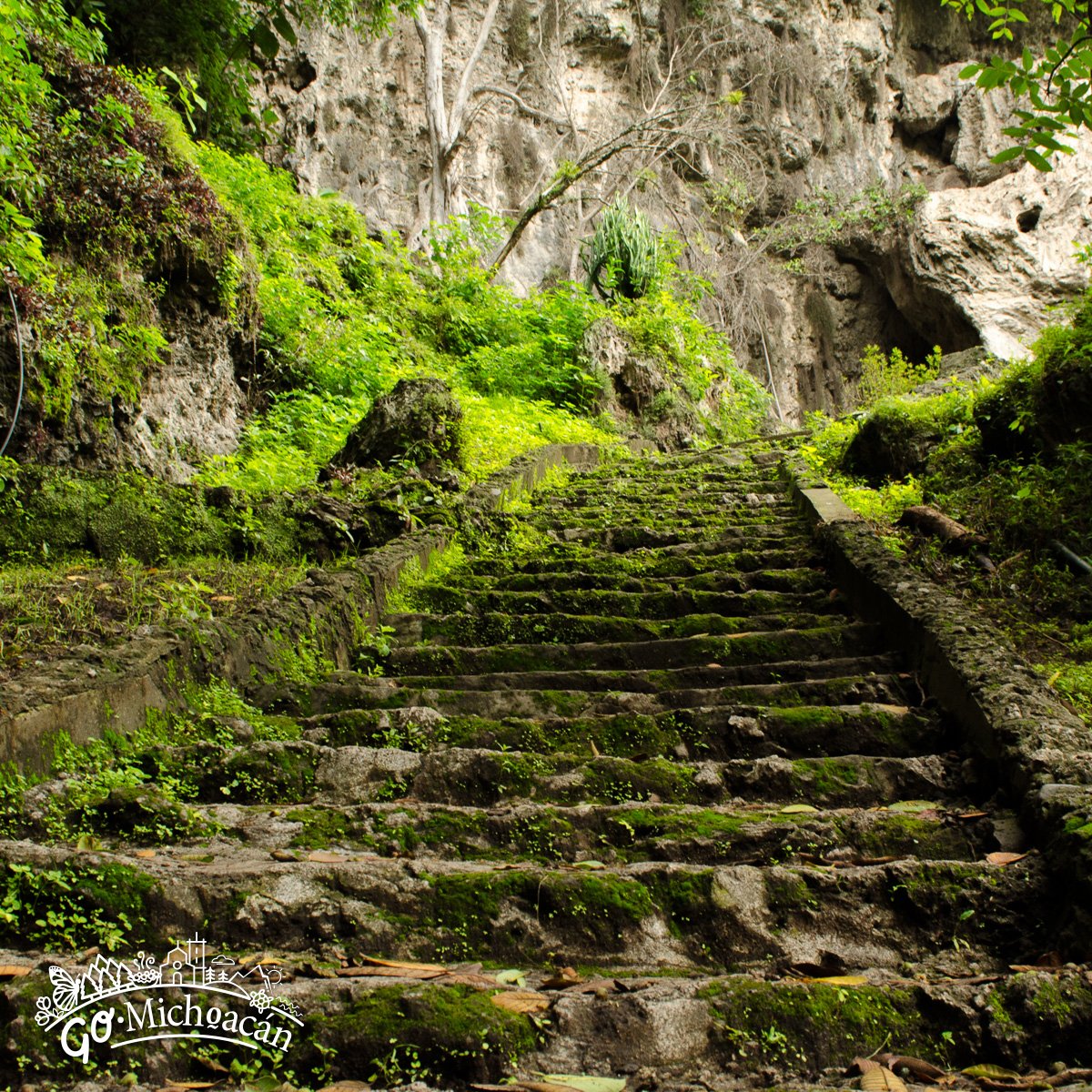 GoMichoacan's tweet photo. De la nada aparecen unas Grutas rodeadas de árboles de Tziranda.

#GoMichoacán #TierraBendita #Michoacán #México #Michoacán #elAlmadeMéxico https://t.co/pvFFX5GCkM