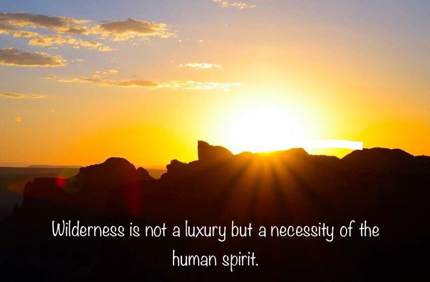 ThColoradoImage's tweet image. 