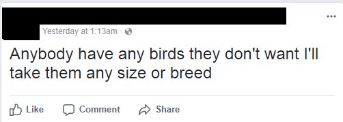 DesertedHeroes's tweet photo. We told you. Someone wants to keep themselves safe 🐦🌎 #BirdTakeover #Birdpocalypse https://t.co/ME2Cc9Y3zr