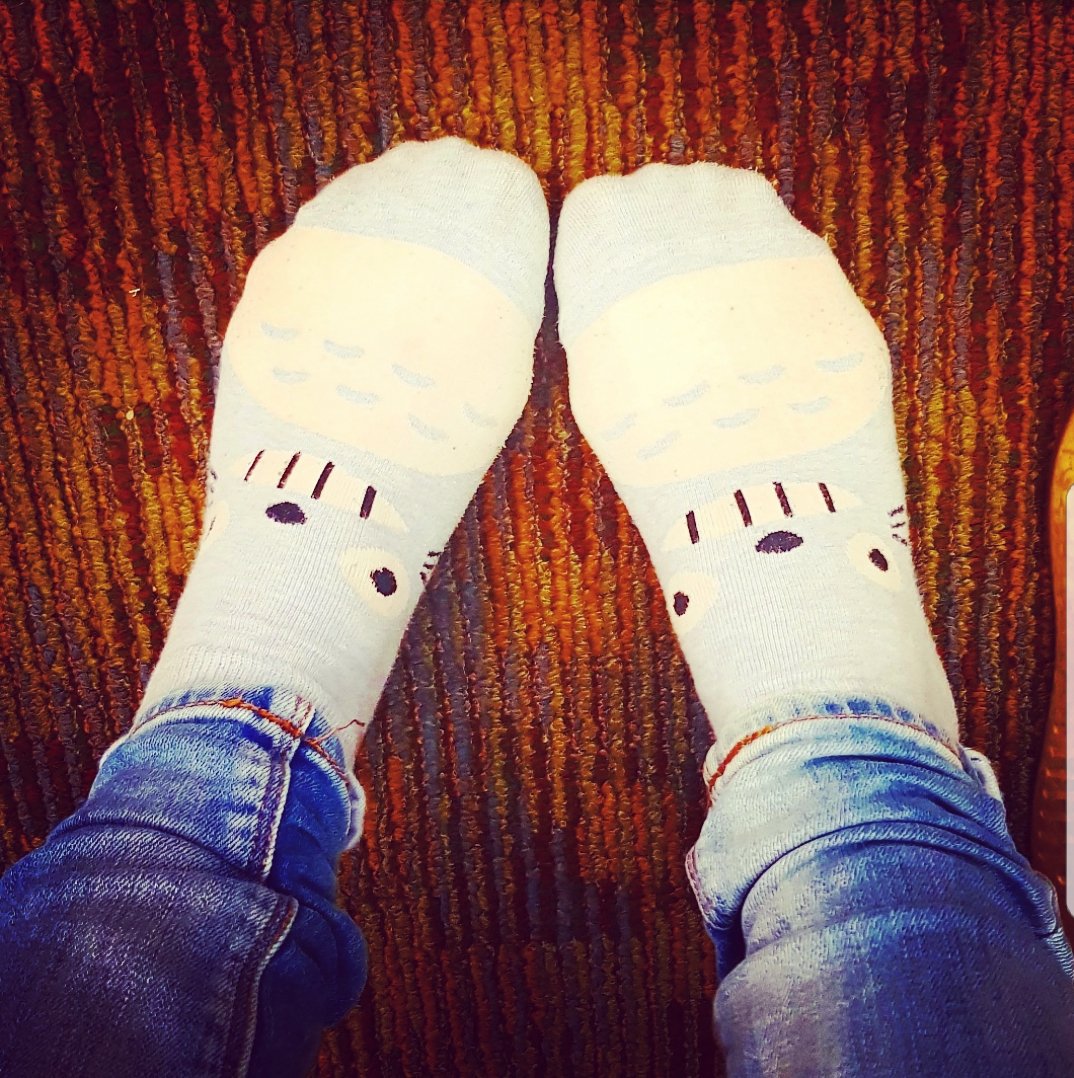 1 pair of Totoro socks with 2 Juno filters.