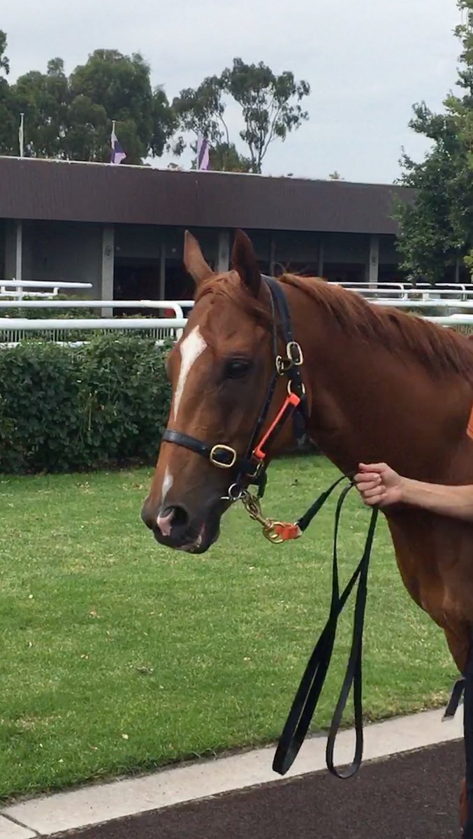 Victoria Moodie tweet media