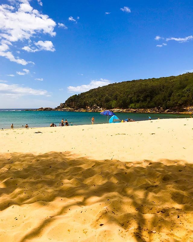 ZeinabAlliji's tweet photo. The beautiful Woollahra in Sydneyโs national park! Did I mention I love this city?
.
.
.
#travelblogger #wanderlust #sydneysider #amialocalyet #girlswhotravel #sydney #australia #woollahra #nationalpark #globetrotter #nomad #findinghome https://t.co/SUkGFGqD87 https://t.co/0Ni7VaiFaj