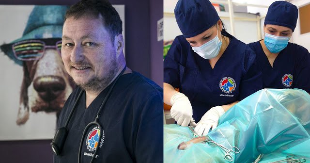 Ο Έλληνας γιατρός και η ομάδα του που χαρίζουν καθημερινά τη ζωή τους στα αδέσποτα