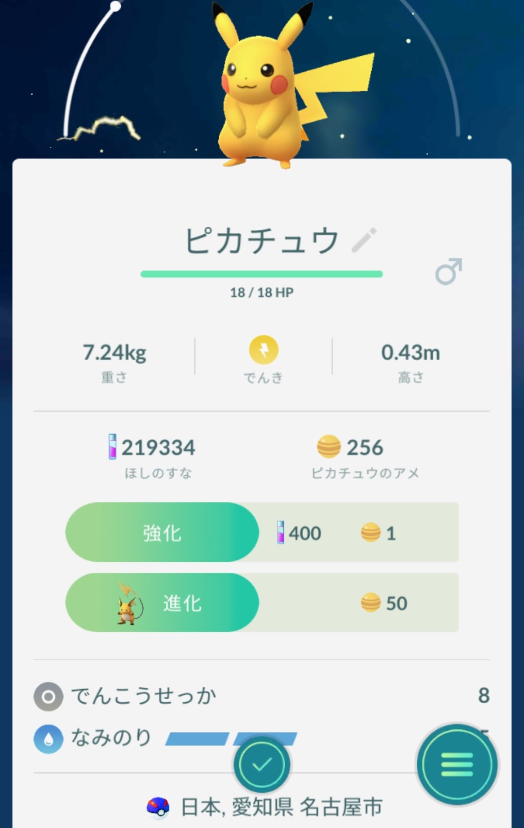 なみのりピカチュウ Twitter Search Twitter