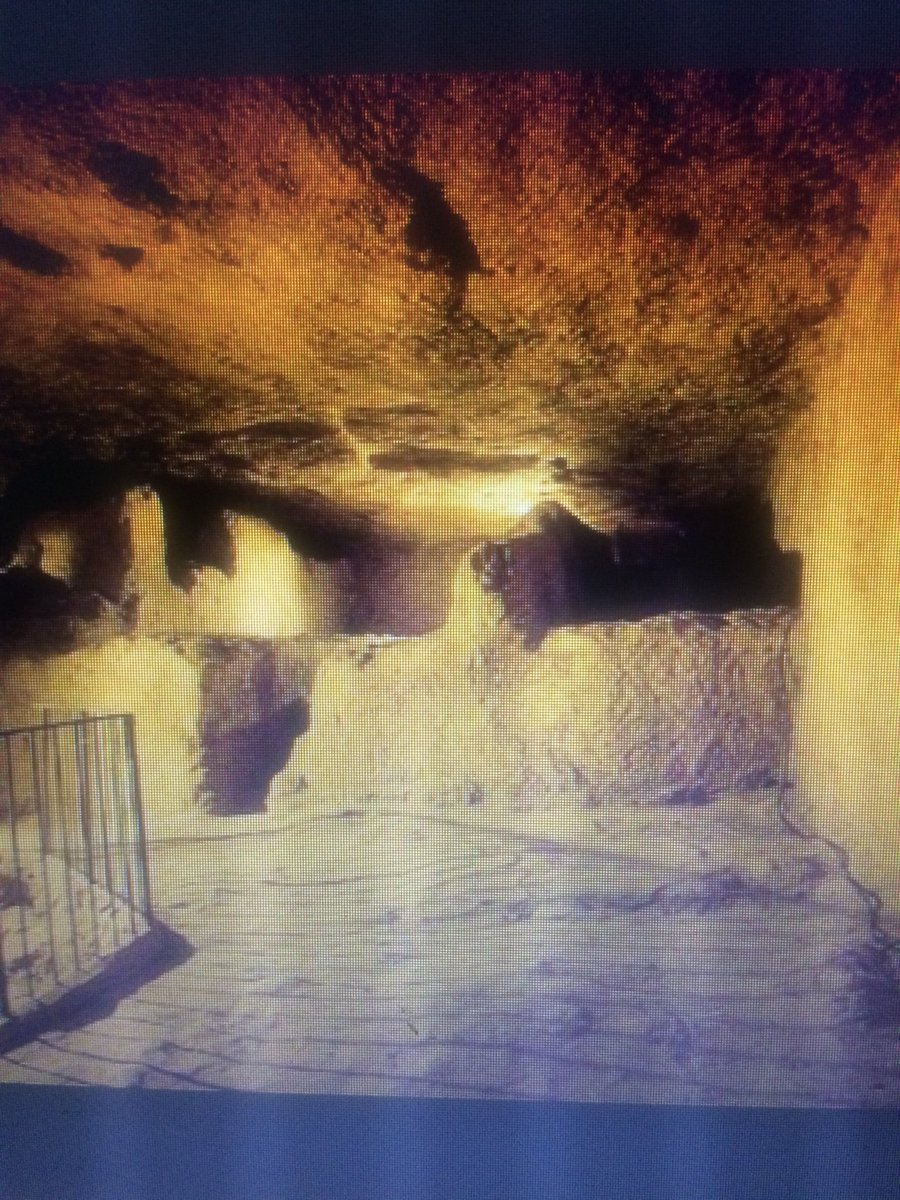 halil0 (@halil069749262) on Twitter photo 