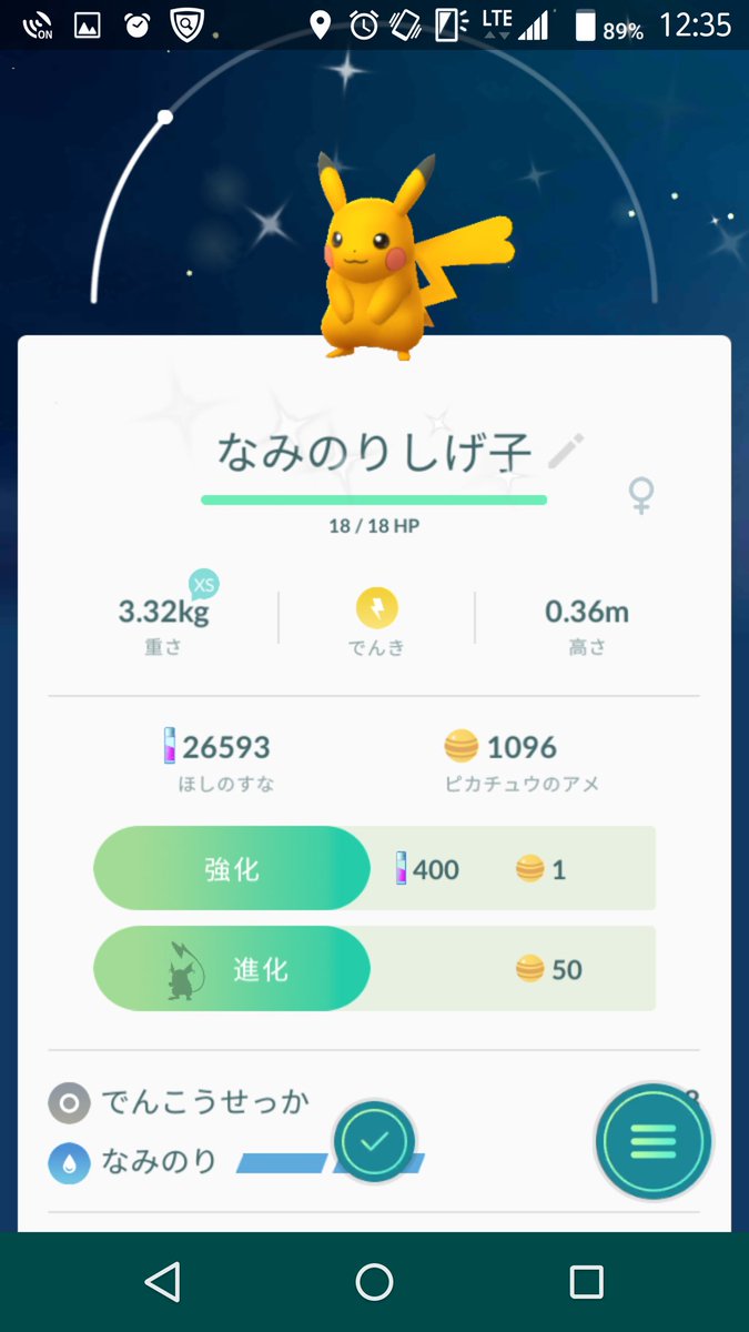 なみのりピカチュウ 色違い イメージポケモンコレクション