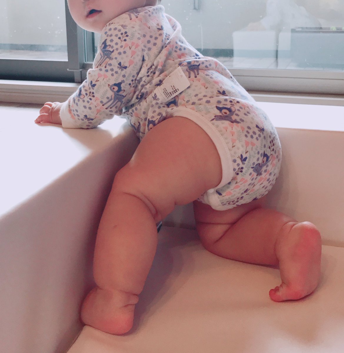 あみぽっぽ 体型細い子が 私 脚とか本当にムチムチで って言ってると いいか 本当のムチムチってのはこういうのだよ と叩きつけたくなる画像です あみぽっぽ 体型細い子が 私 脚とか本当にムチムチで って言ってると いいか 本当のムチムチってのはこういうのだよ と叩きつけたくなる画像です