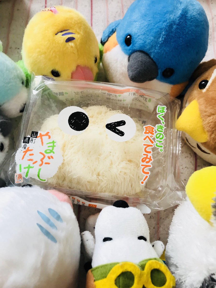 薬屋探偵妖綺談 薬屋探偵妖綺談