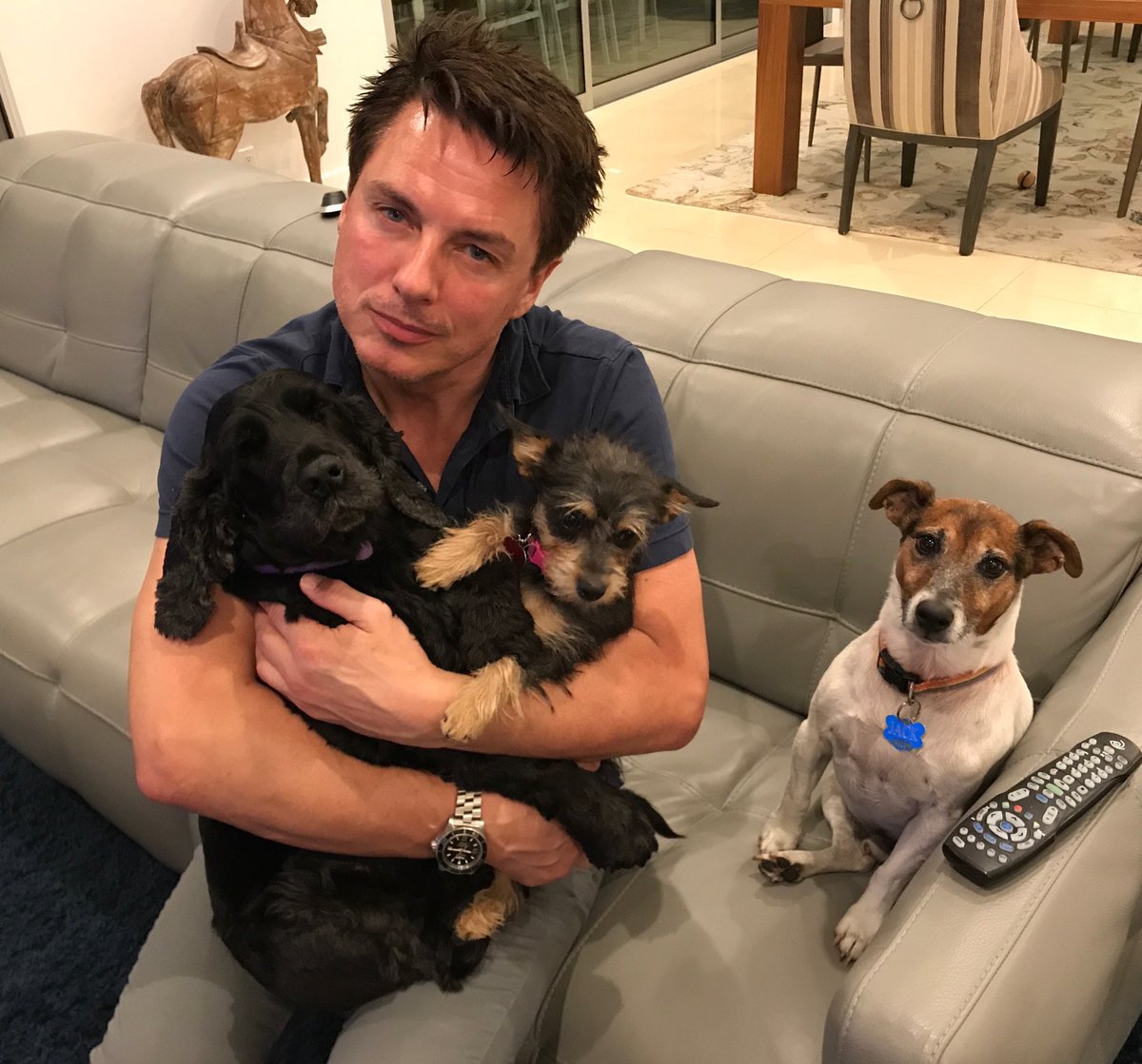 Scott R Gill (@scottmale) | Twitter