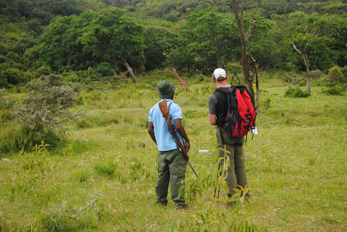 Enjoy walking safaris with us
Book Now: info@taitravellers.com
