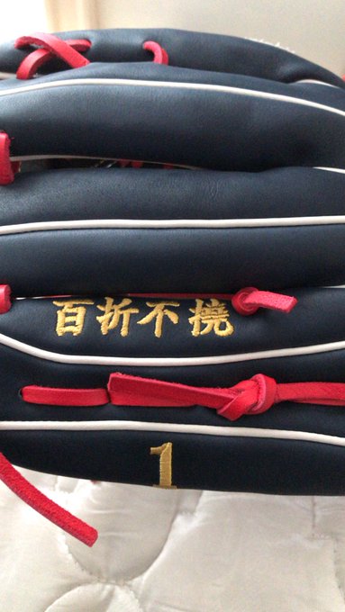 グローブ刺繍の言葉まとめ かっこいい四文字熟語を集めてみた 野球人による野球人のためのブログ