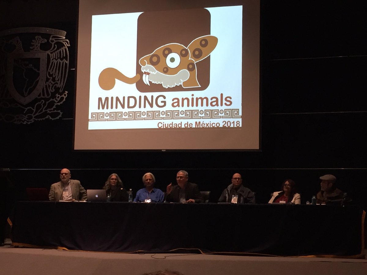 derechoanimal_'s tweet photo. Derecho Animal presente en Minding Animals Internacional Ciudad de México 🇲🇽 #mac4 #mindinganimals #CDMX https://t.co/za4xz7HIyE