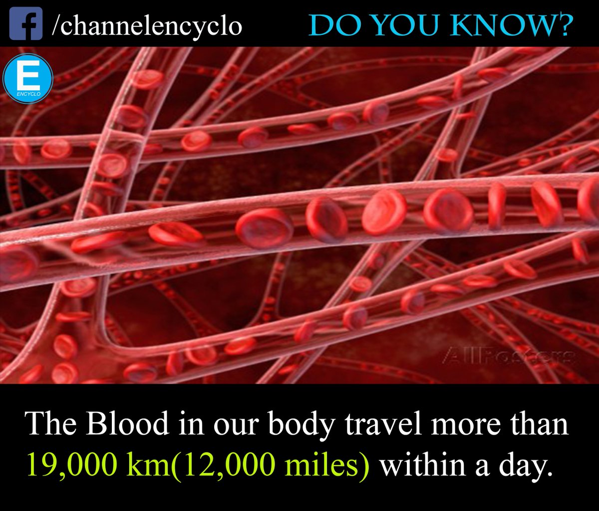 EncycloChannel's tweet image. 