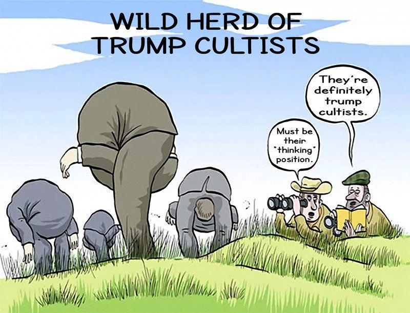 DT9v8KtU8AApset.jpg:large