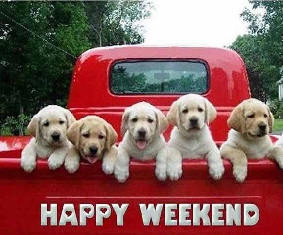 friedalive's tweet image. Good morning all