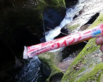 釣り餌の代用品 10選 イカの塩辛 豚肉は代用可能 おすすめ代替品を紹介 代用品お探しサイト 困った時に役立つ カワルン