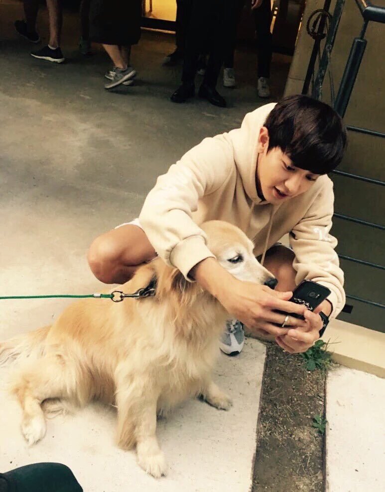 chanyeol pics tweet media