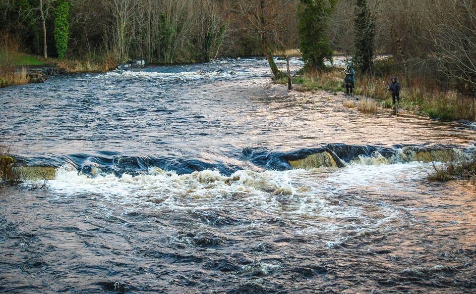 First week of the season on the Drowes – 1 springer lost fishinginireland.info/news/salmon-re…