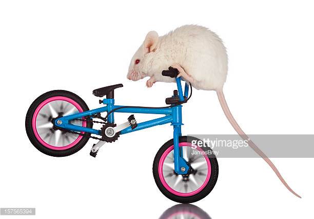 discodavy80's tweet photo. Way Too Advanced Spin Class
#FakeWorkoutFacts #GymRat https://t.co/YVYb3dPY55