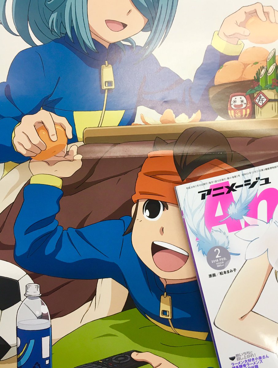イナズマイレブン 風丸一郎太 アニメージュ 応募者限定品 パスケース