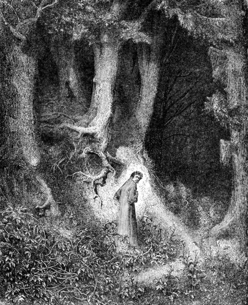 Word(s) of the day: 'selva oscura' - lit., a 'dark/shadowed wood'; figuratively, a period of life in which one has lost one's way, become disoriented. From Dante's Inferno: 'Midway through the journey of life I found myself in a dark wood, with the clear path ahead of me lost.'