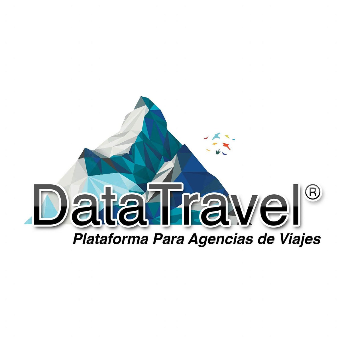 DataTravel1 tweet picture